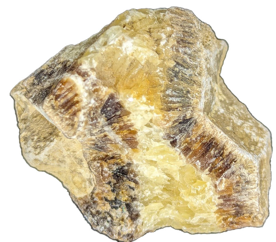 Septarian Raw Natural Crystals