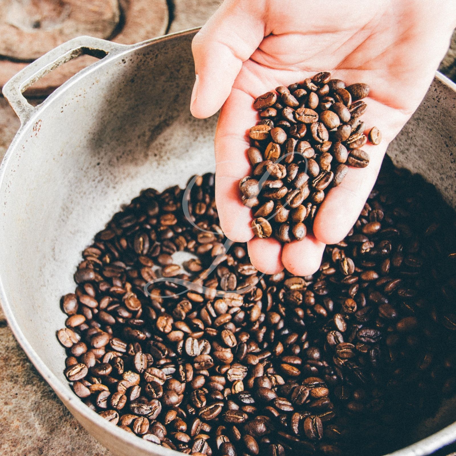 100% Kona Extra Fancy Coffee, 5 lbs, Green Beans or Medium Roasted to Order!