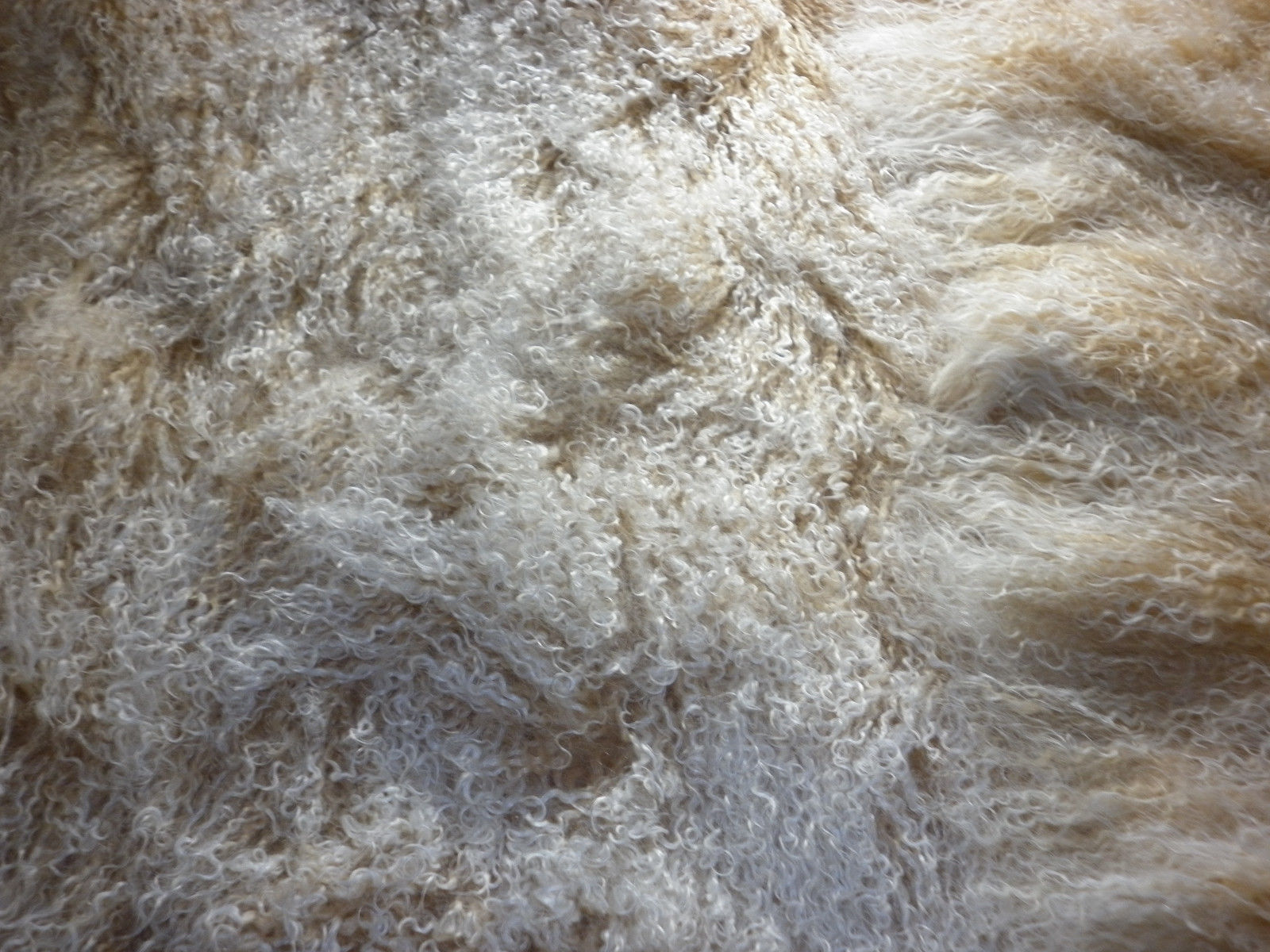 Real Mongolian Fur Throw Tibetan Lambskin Beige Snowtop Fur Rug Plate GenuineHid