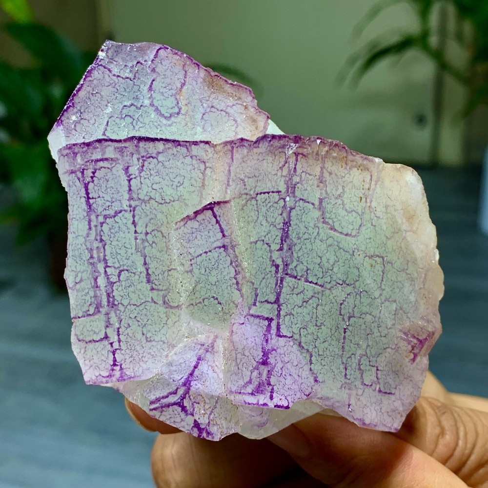 3 Code"Fluorite Cluster Crystal Mineral Specimen/Guizhou