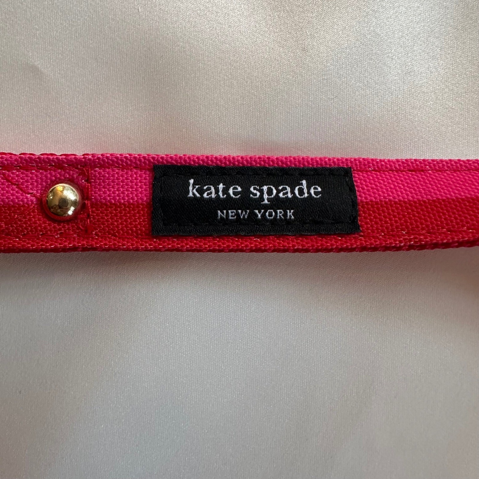 Kate Spade New York Red & Pink Stripe Dog Leash Gold Hardware