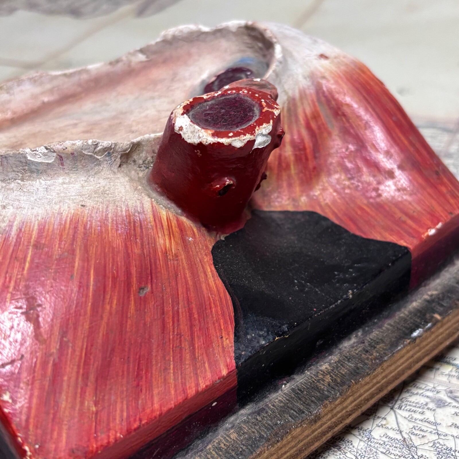 Rare 1930s Soviet Anatomical Model Dissectible Heart & Pelvic Vascular Section