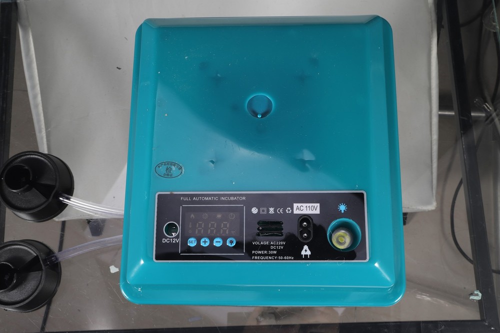 16-Egg Digital Automatic Incubator, Single Power, Ideal for Poultry Hatching
