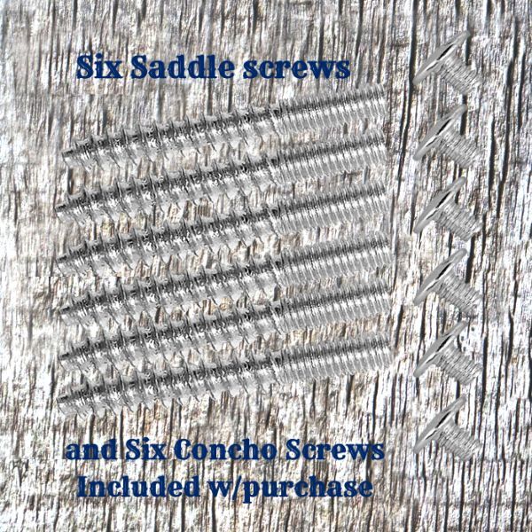 Angel Fire Concho Saddle Set CON419-A-2-SD-SET