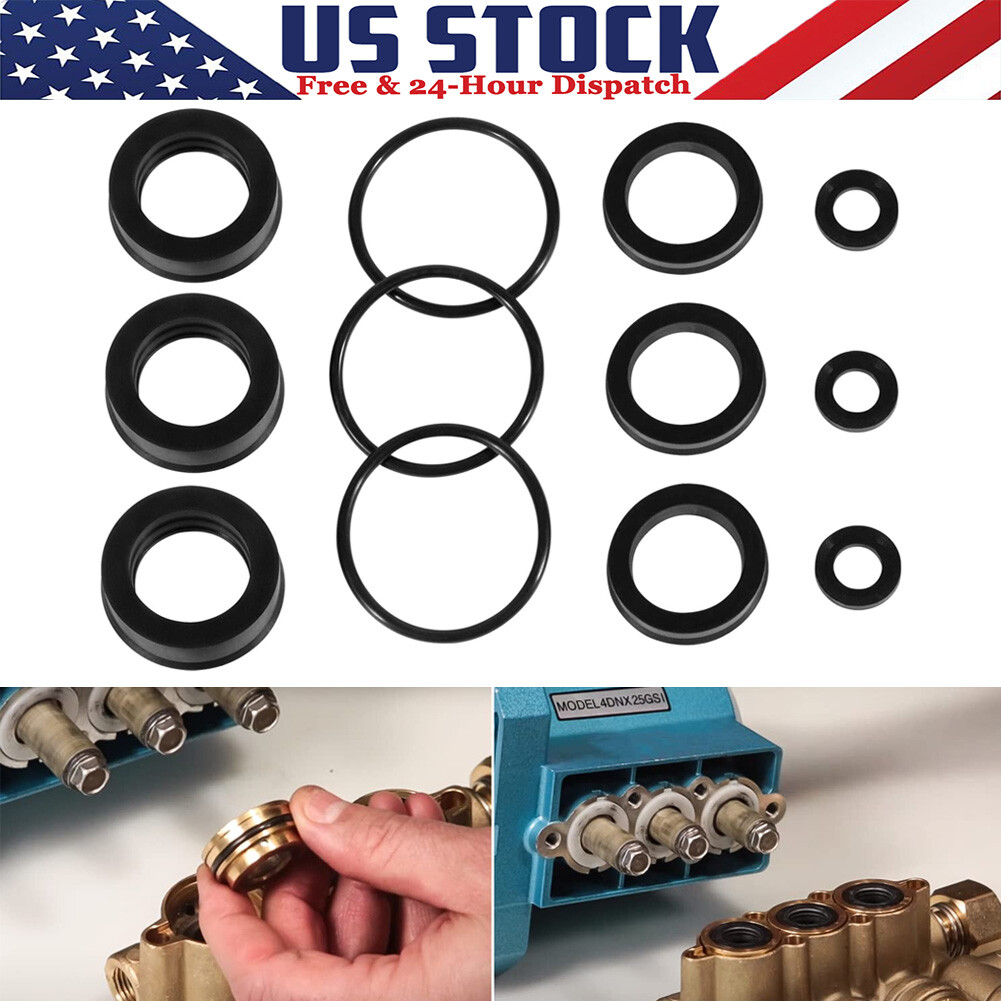 For Cat Pump 4DNX Pumps 4DNX25GSI 4DNX27GSI Seal Kit 76975 Seal Kit 12PCS