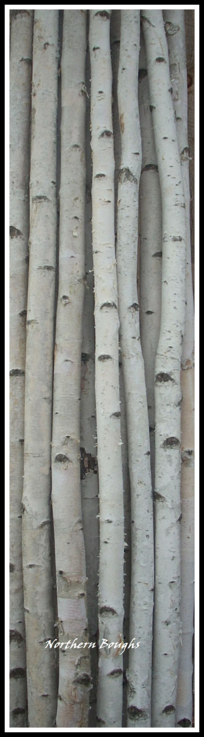 4 Thick White Birch Poles 8'