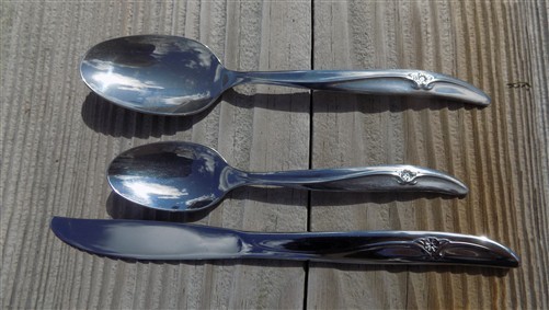 Rogers & Bro, Stainless Silverware, Set 61 Pieces, Caprice Flatware Tableware