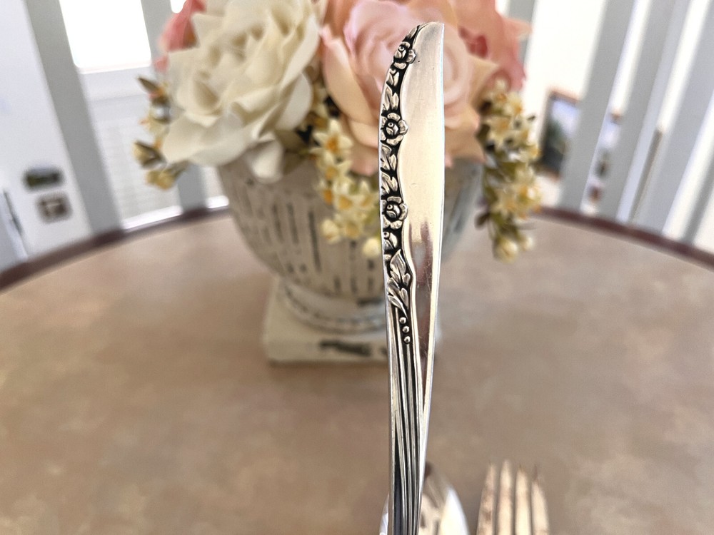 55 Pcs Oneida LTD WM.A. Rogers BRITTANY ROSE Silverplate Silverware Flatware Set