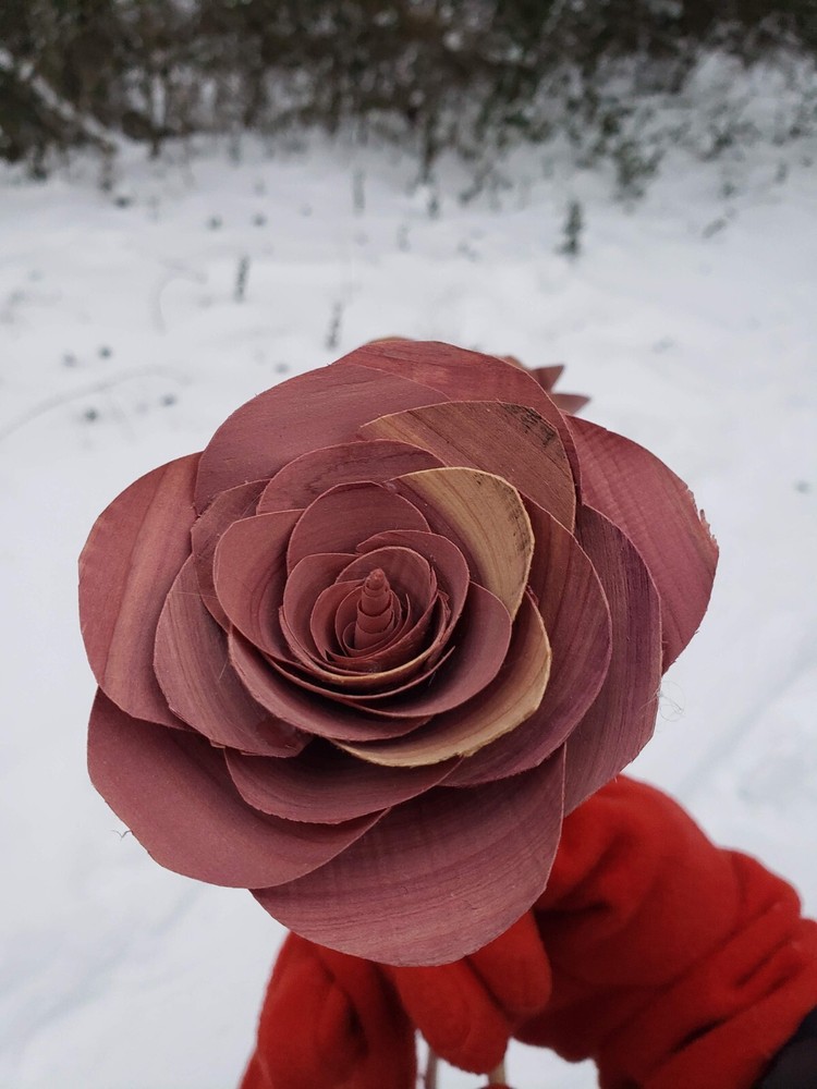 Cedar Flower Art