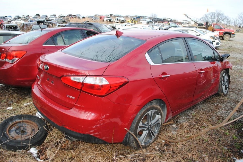 FORTE 2014 Jack 1070584