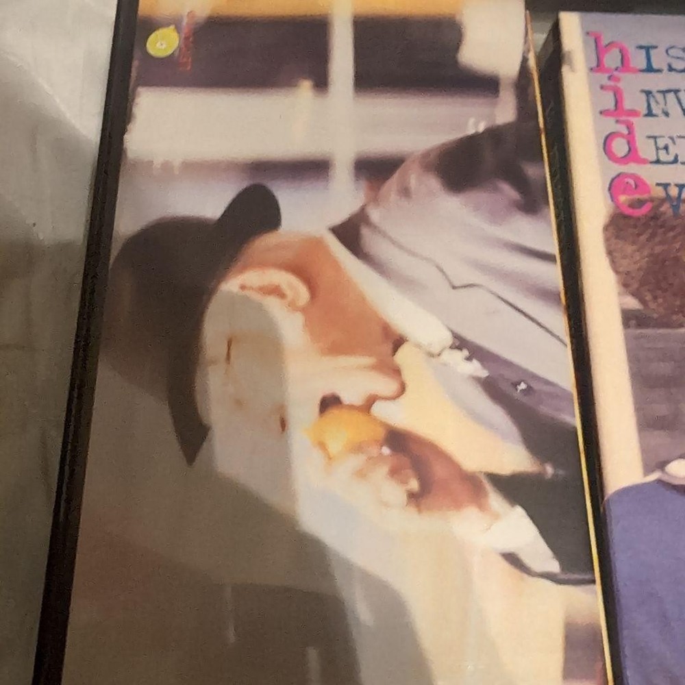 hide 4 video set Zilch Lemonade