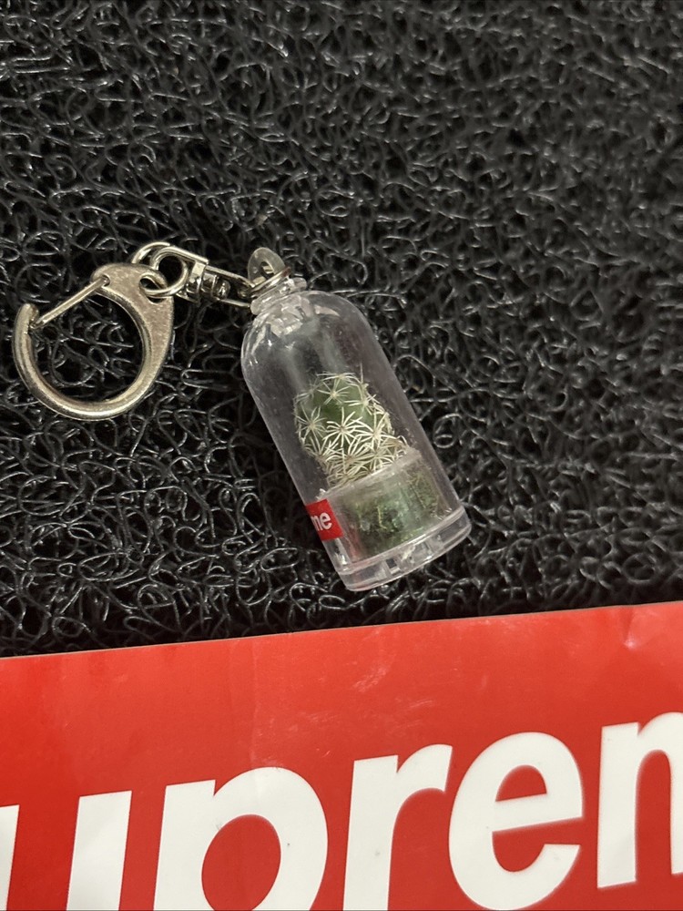 Supreme Cactus Keychain Box Logo SS18