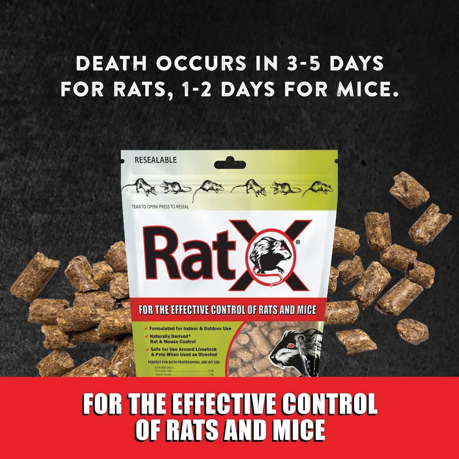 EcoClear Products 620100-6D RatX All-Natural NonToxic Humane Rat and Mice Rodent