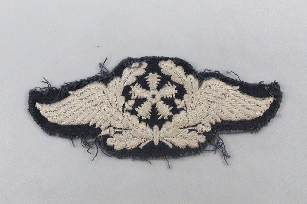 WW2 Luftwaffe Flight Technical . EFL2474