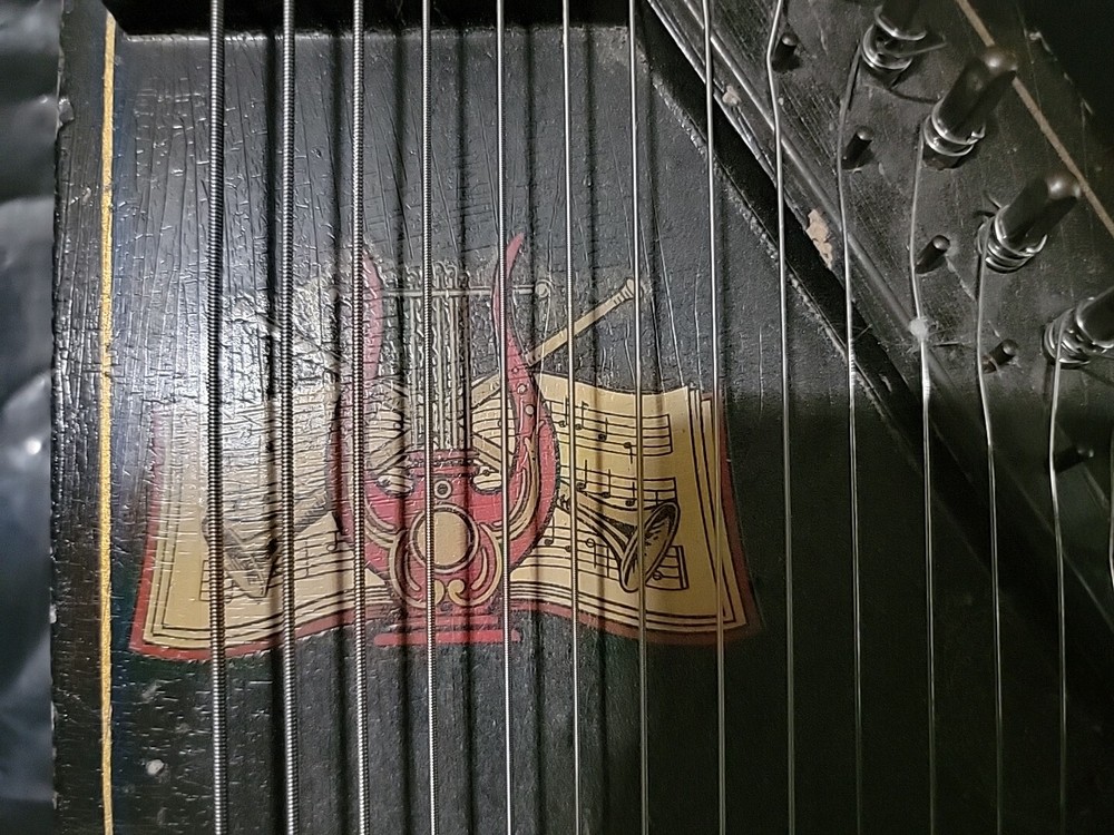 AUTOHARP Have 23 Strings