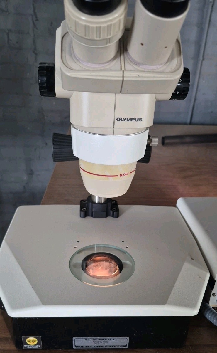 Olympus SZ40 Stereo Microscope System with TLB 3.1 Stand