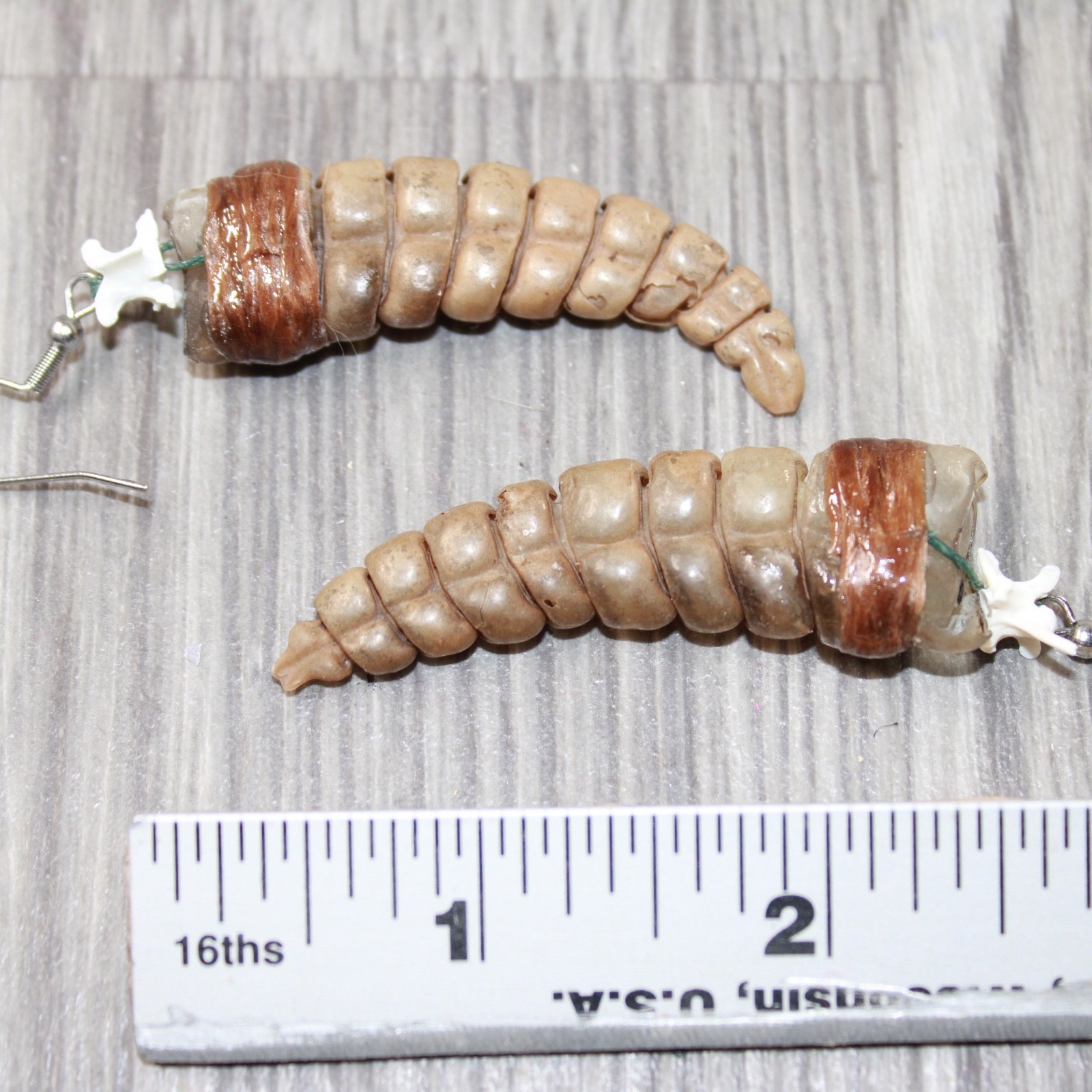 Very Large Rattlesnake Rattle Earrings #6163 Mountain Man Earrings