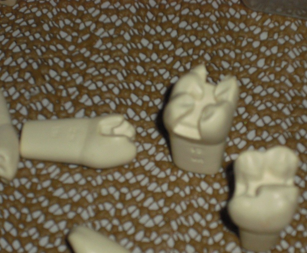 Dental Teeth Preparations for Students and Practicioners - Assorted Preps