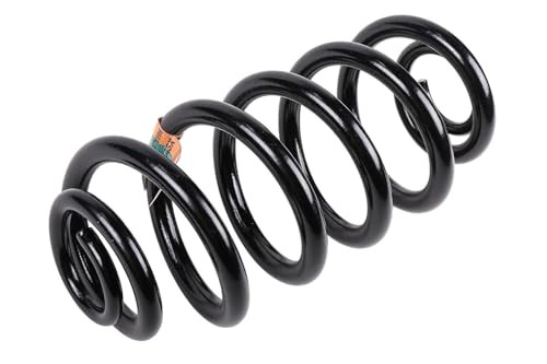 22878996 Rear Coil Spring