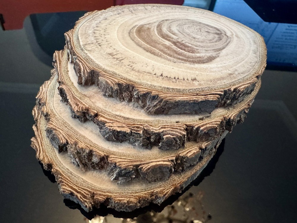wood coaster set