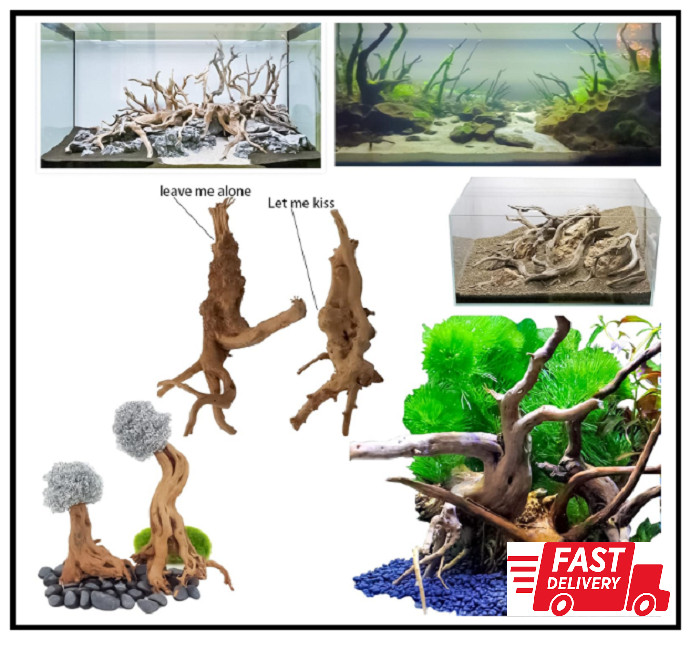 8 Pack Natural Driftwood for Aquarium Aquarium Decor Spider Wood Freshwater