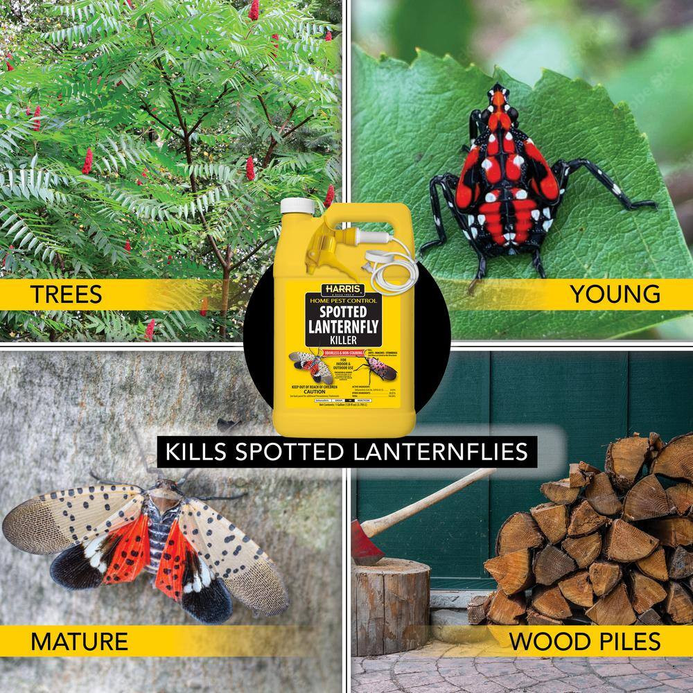1 Gal. Spotted Lanternfly Killer (4-Pack)