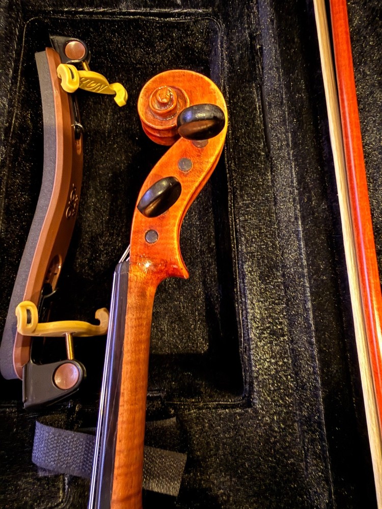 Violin labelled Alfredus Contino 1912