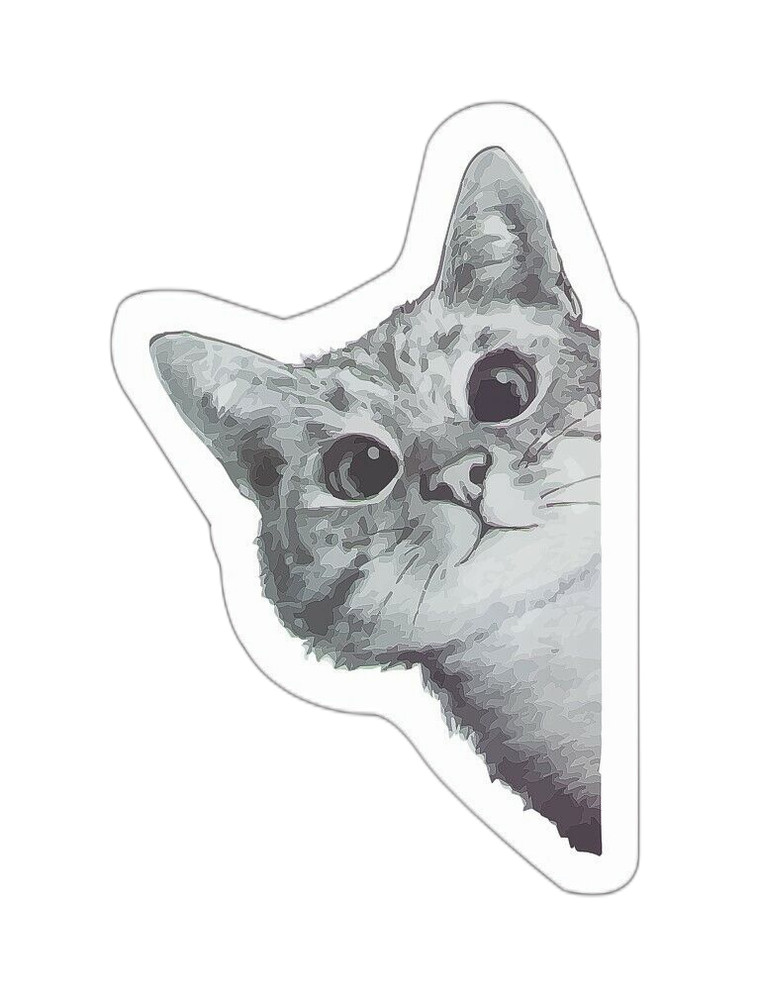Cat Peeking Sticker Decal