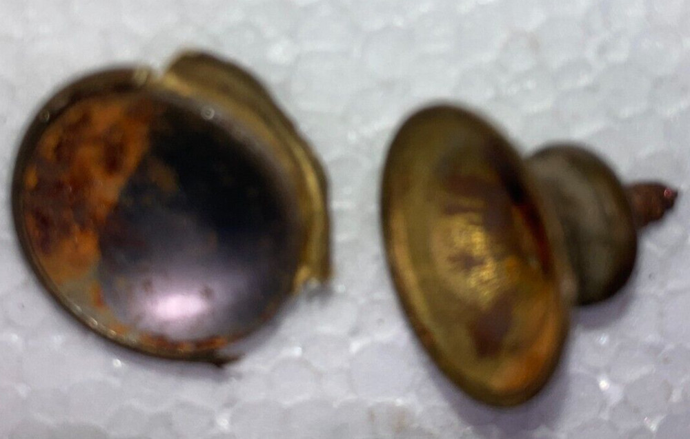 8 Antique Solid Brass Shell Drawer Door Pull Knob Handle Cupboard Screw 2 cm