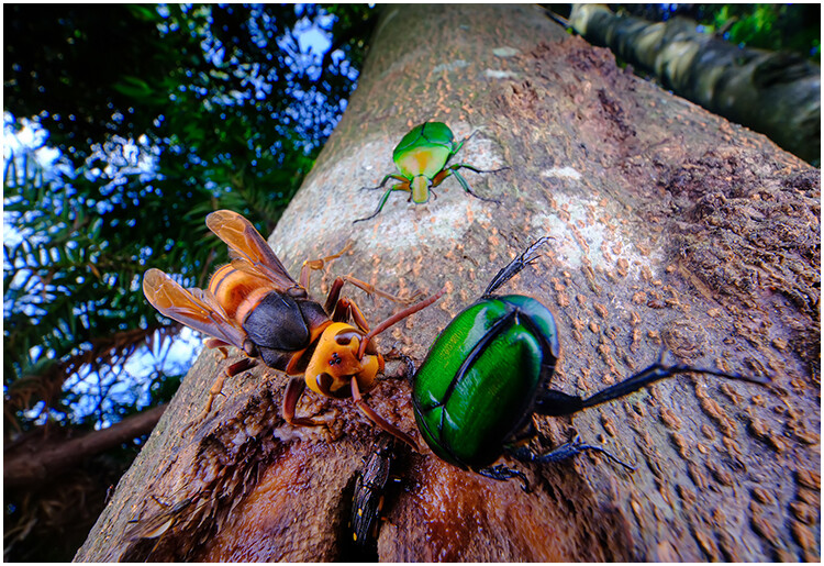 Macro Photography Reflector Cover Soft Light Box Diffuser Cap For Flash Lamp