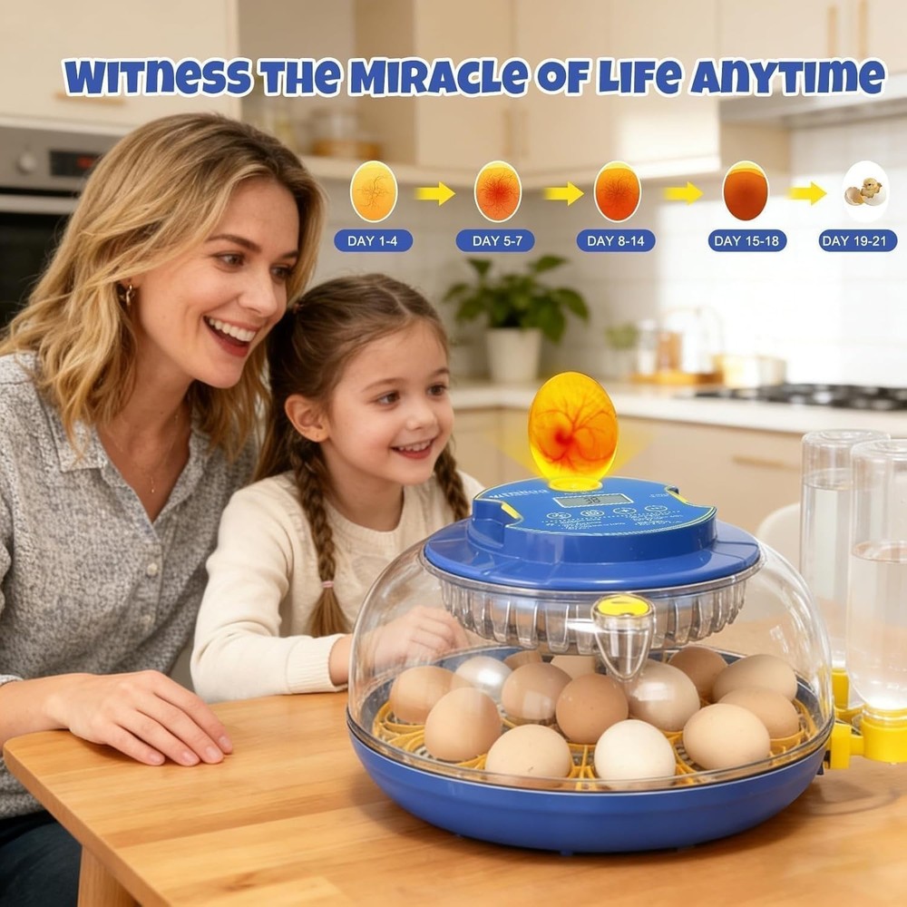 Series III - 18 Egg Automatic Incubator with Humidity & Temp Control, Black