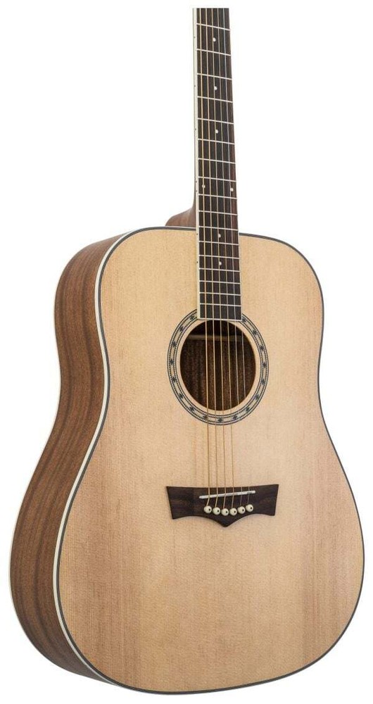 Delta Woods® DW-2™ Solid Top Dreadnought Acoustic Guitar with Case