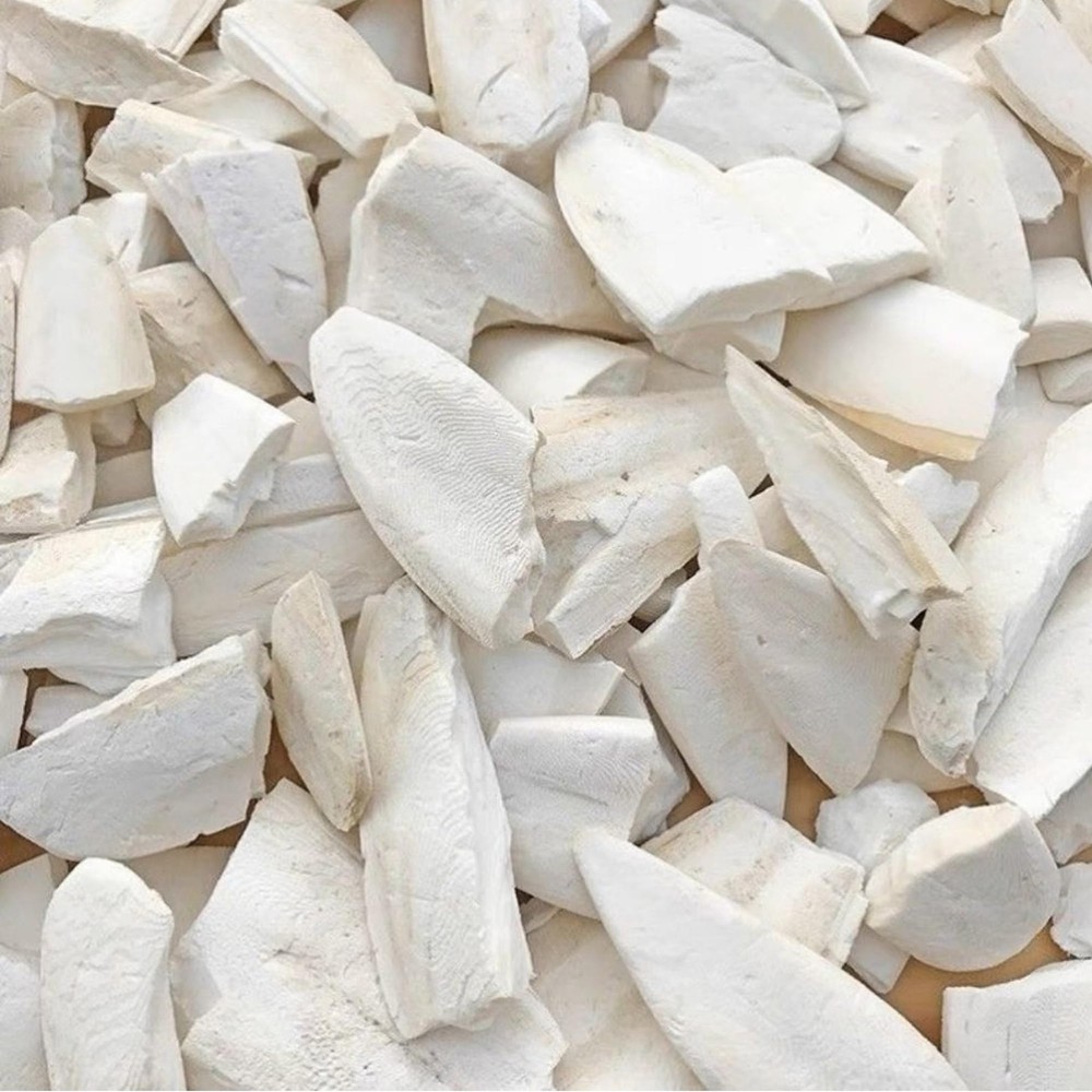 Bird Cuttlebone for Parakeets Cuttlebone for Birds Natural Cuttlefish Bone Bulk