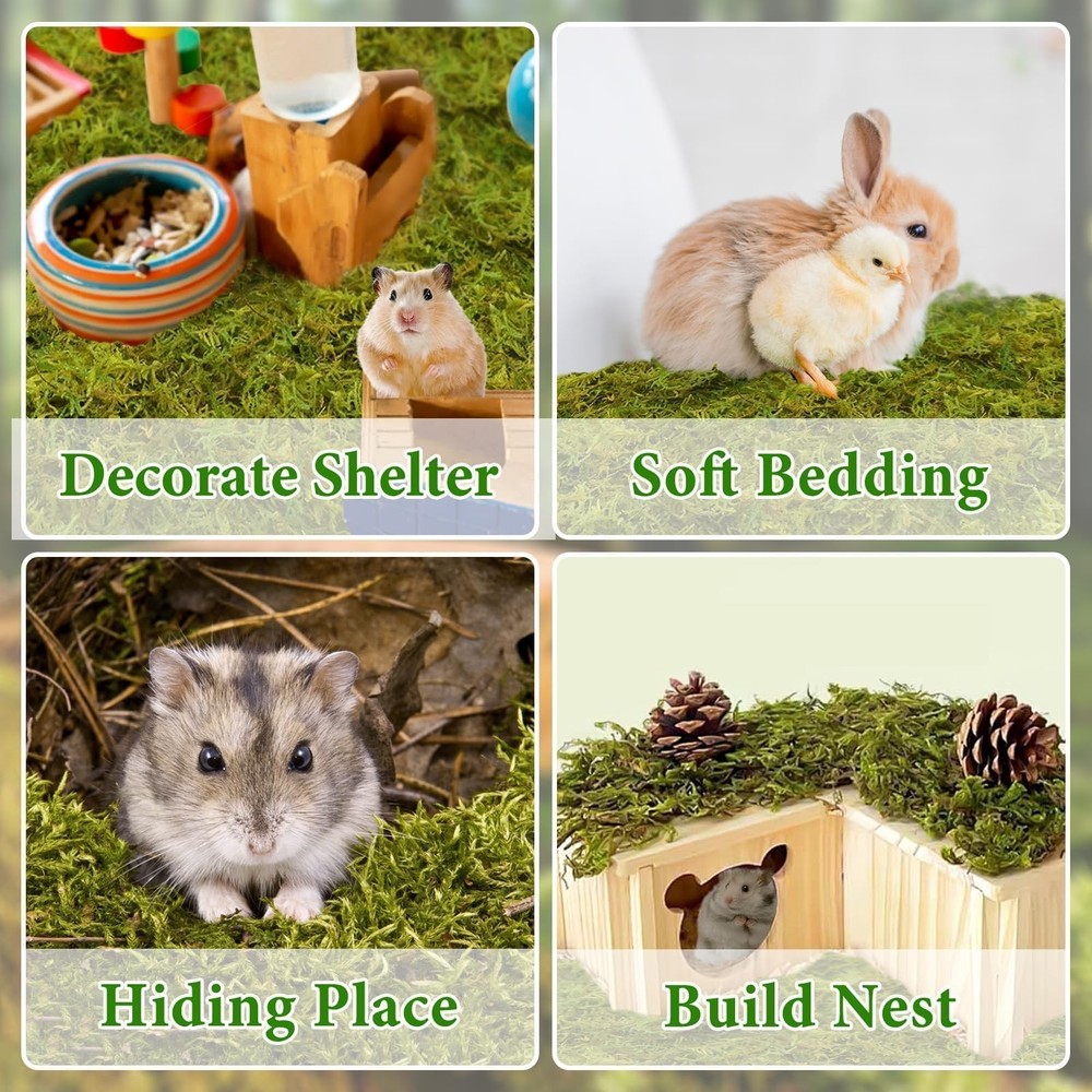Halatool 12QT Small Animals Bedding & Nesting Material, Forest Moss for Odor ...