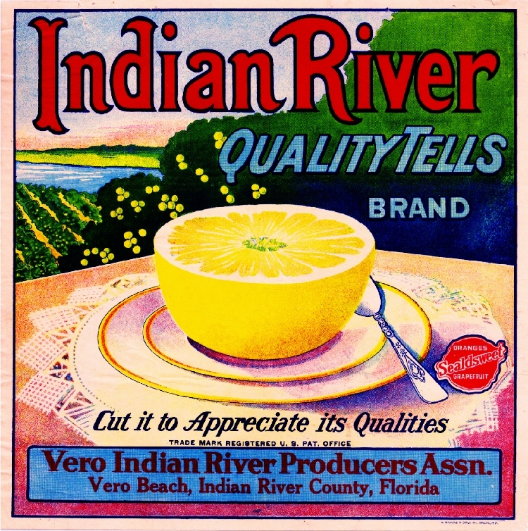 Vero Beach Florida Indian River Grapefruit Citrus Fruit Crate Label Art Print