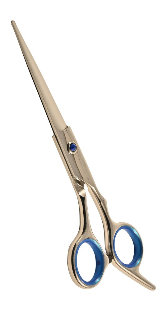 PROFESSIONAL 6" HAIR CUTTING SCISSORS