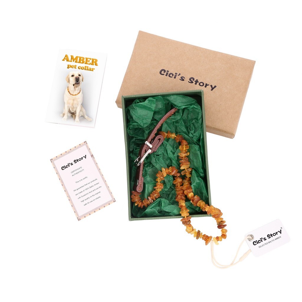 Amber Collar for Dogs and Cats with Adjustable Leather Strap