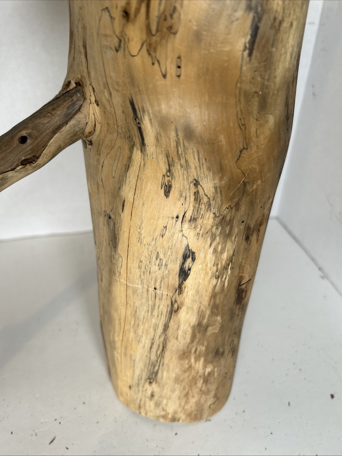 Driftwood¡ 2 Piece Set Cedar Taxidermy Beach Mountain Wedding 1 White Outside