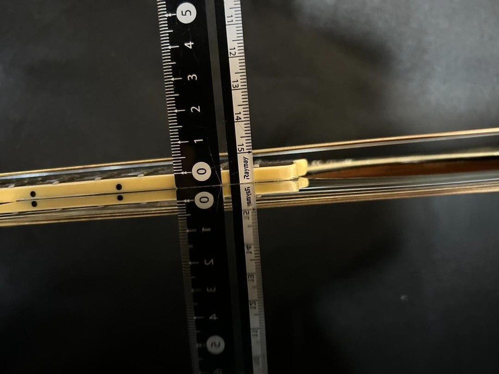 Epiphone ELVIS guitar HC Safe Packing!