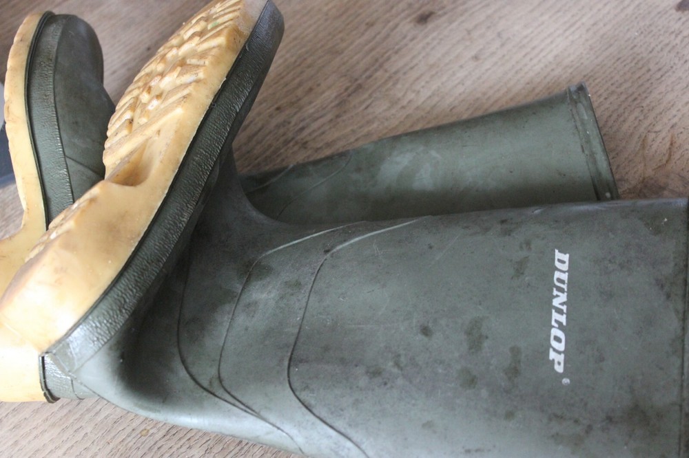 Wellington boots size 4