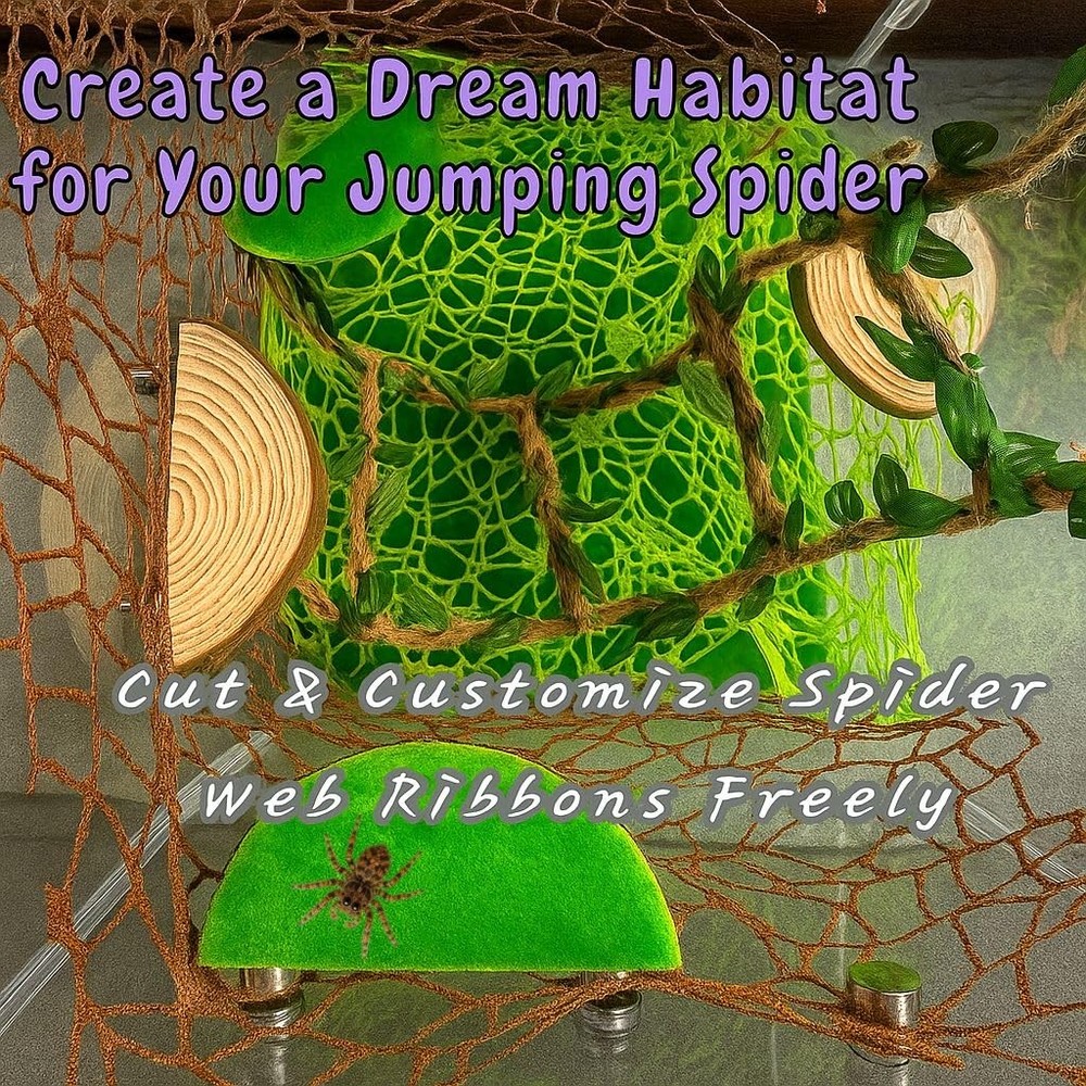Multi-Functional Jumping Spider Habitat Décor Kit, Small, Brown, Light green