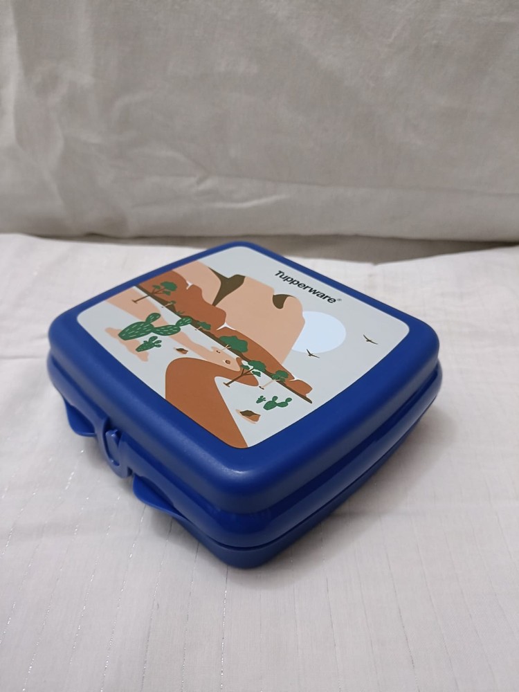 Tupperware Sandwich keeper Desert Print Square Shape