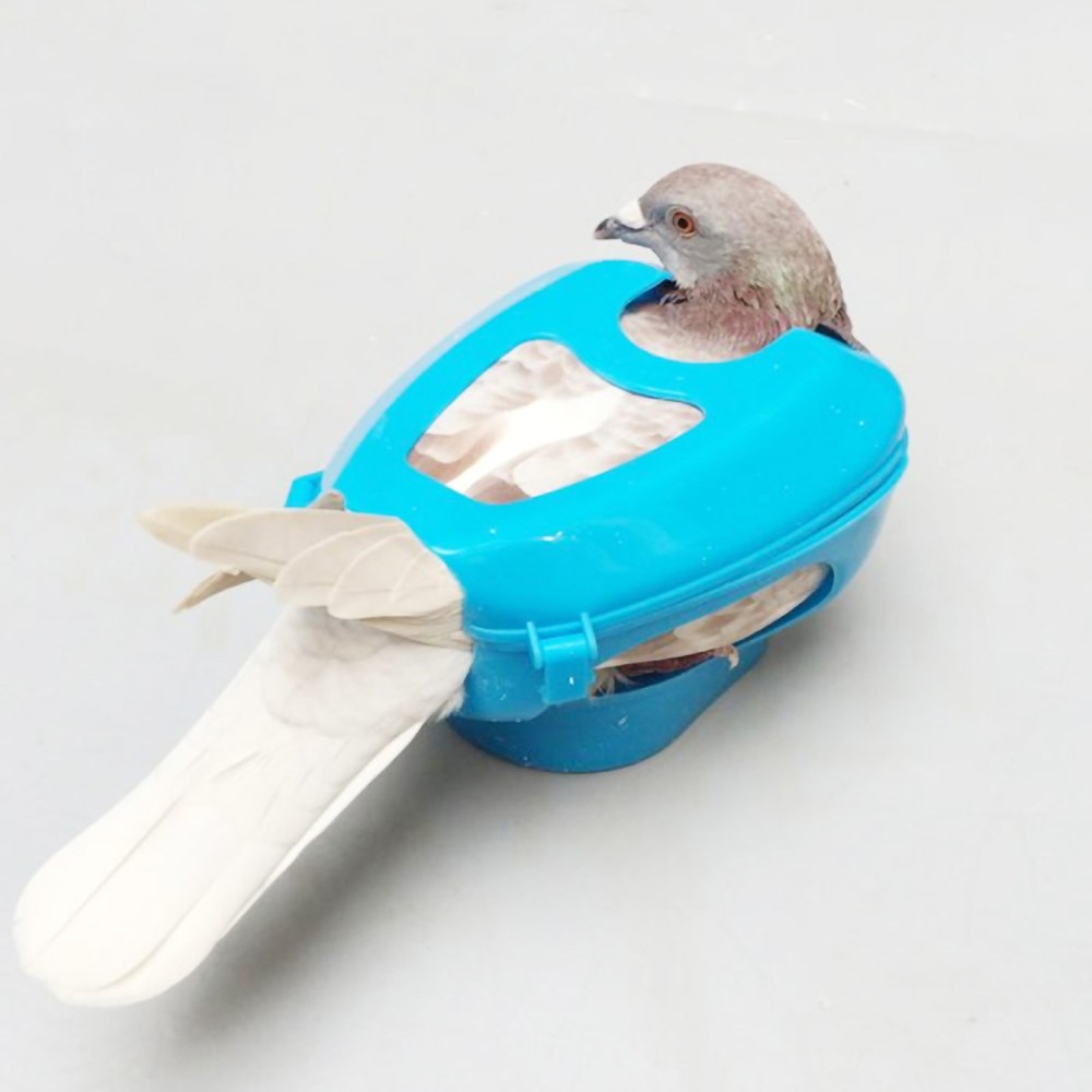 Plastic Holder For Injection Feeding Fixed Mount Bird Supply(blue)♡