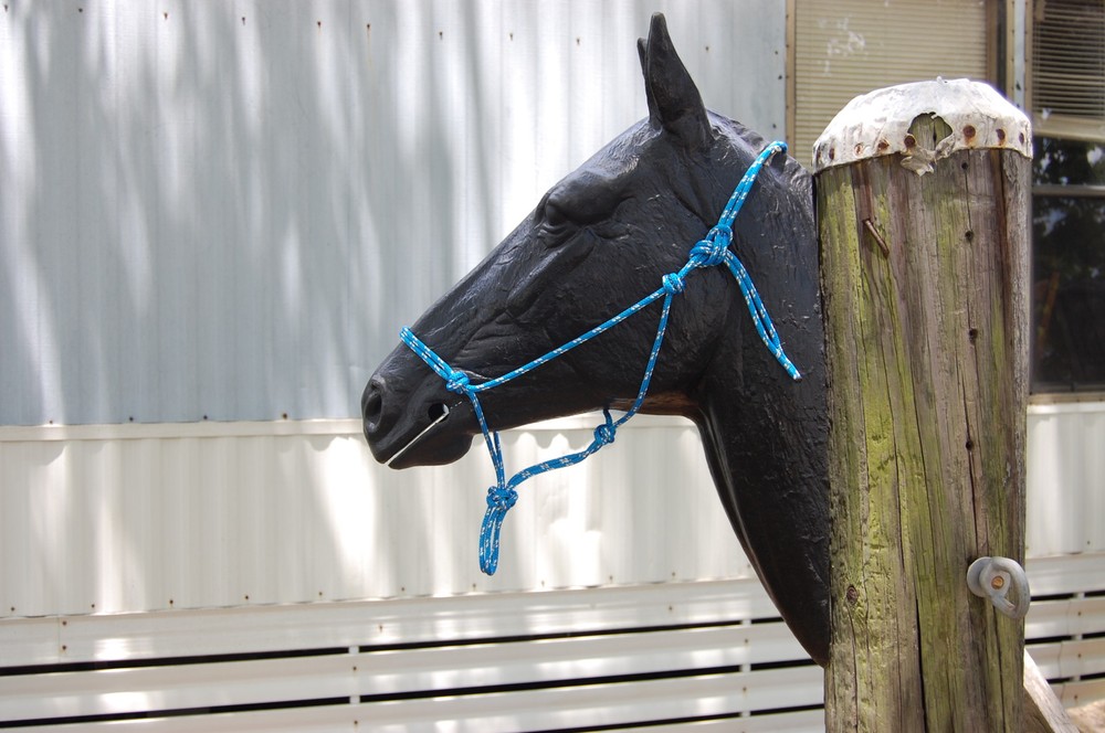 1/4" SOFT ROPE TRAINING HALTER FITS PARELLI METHOD