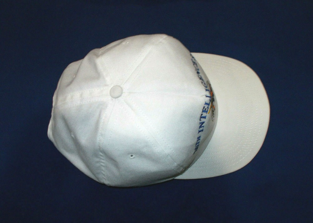 USAF AF 20TH INTELLIGENCE INTEL SQUADRON OFFUTT YOSEMITE SAM ADJUSTABLE CAP HAT