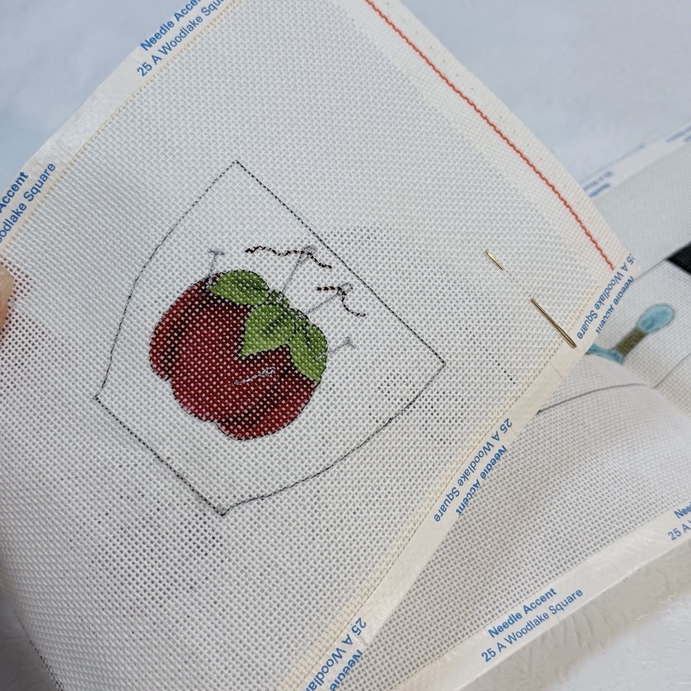STARTED Sandy Jenkins Stitchers Chatelaine 162 Handpainted Needlepoint Canvas +