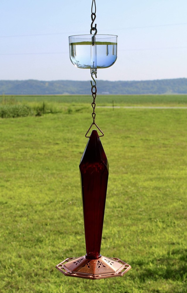 Songbird Essentials Nectar Protector Junior, Bird Feeder Protection, Clear