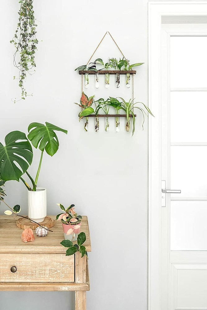 Hanging Plant Propagation Set