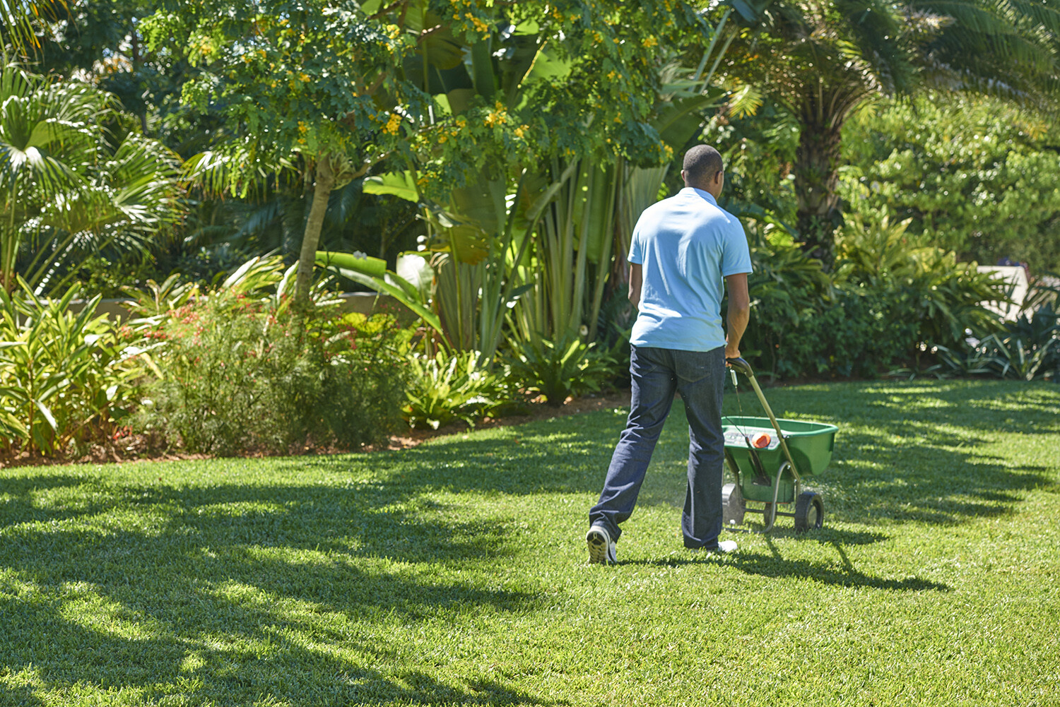 Scotts Southern Turf Builder Lawn Food 42.18 lbs. Covers 15,000 sq. ft.