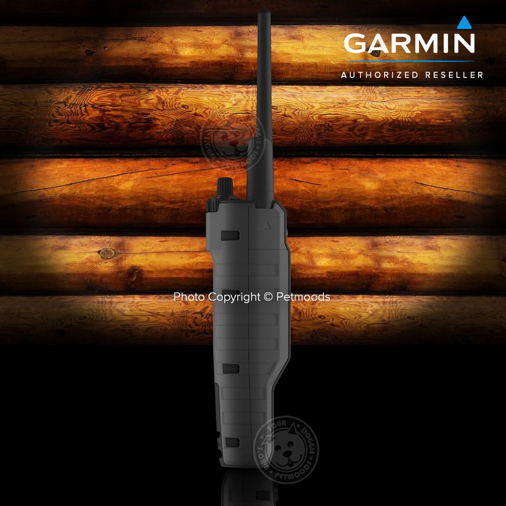 Garmin Pro 550 Plus Bundle Dog Tracking and Training TT15X Collar Device GPS